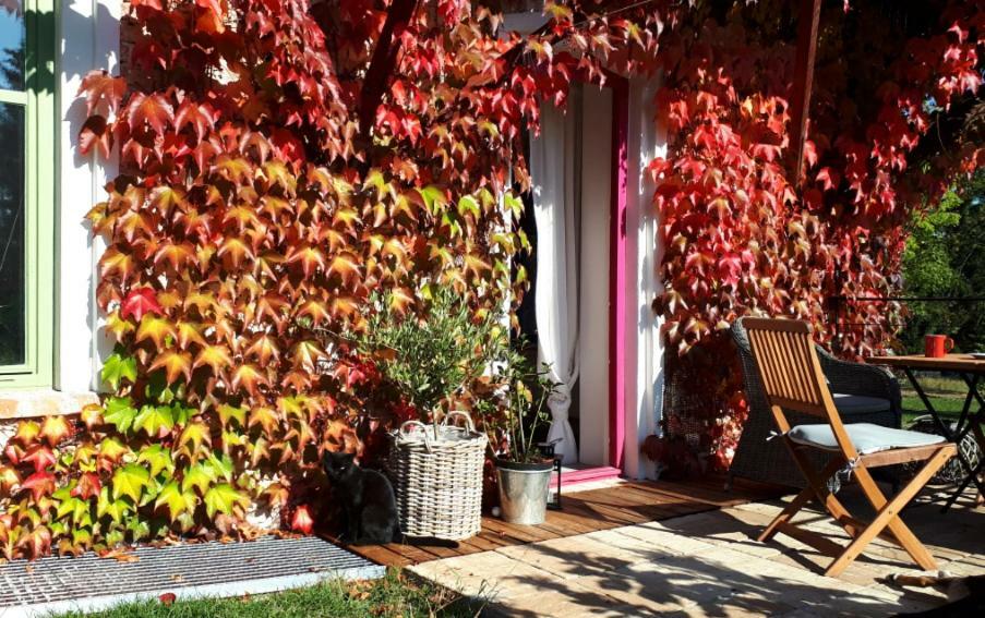 Apartment Ruprechtov Hroznetin