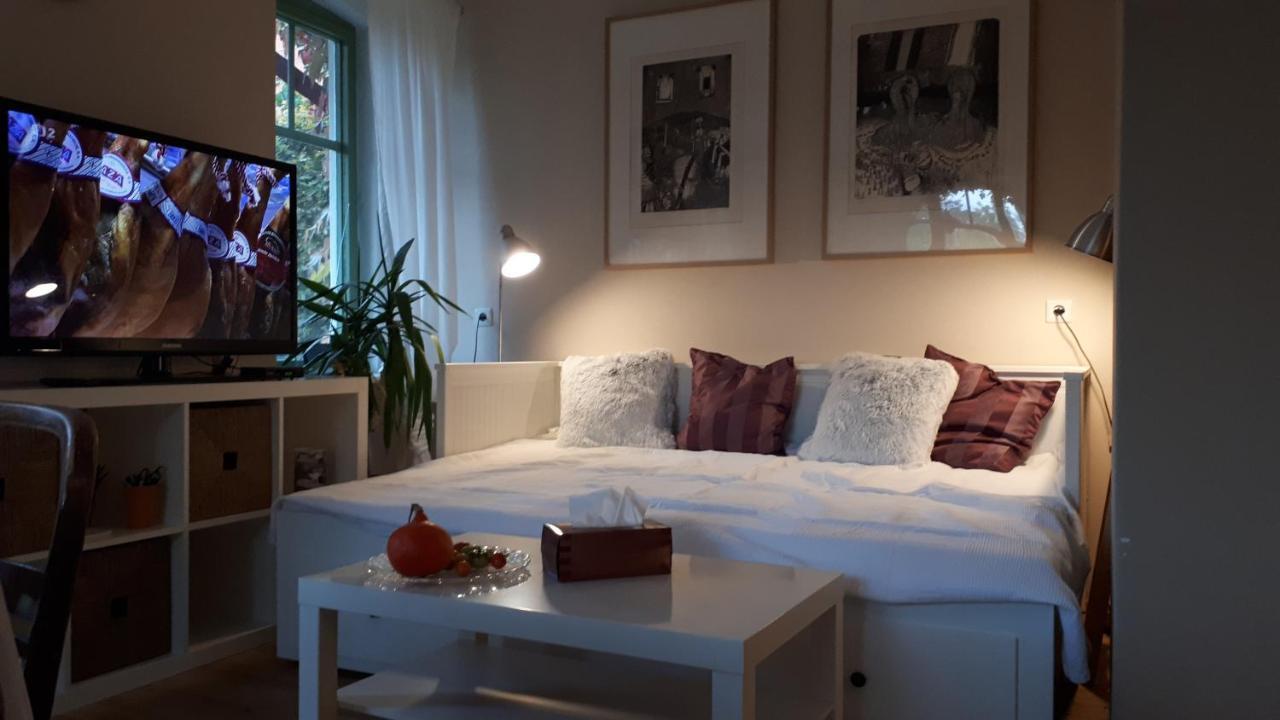 Ruprechtov Apartment